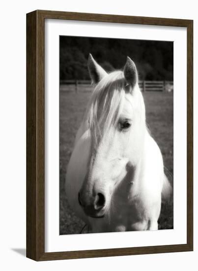 Babe II - BW-Alan Hausenflock-Framed Photographic Print