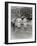 Babe Ruth and Bob Museul, October 18, 1924-Marvin Boland-Framed Giclee Print