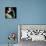 Babe Ruth-Cristina Salas Mendoza-Mounted Photographic Print displayed on a wall
