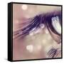 Babe-Cristina Salas Mendoza-Framed Stretched Canvas