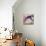 Babe-Cristina Salas Mendoza-Mounted Photographic Print displayed on a wall
