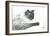 Babee 2000-Vincent Alexander Booth-Framed Giclee Print