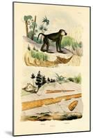 Baboon, 1833-39-null-Mounted Giclee Print