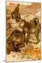 Baboon Family-F.W. Kuhnert-Mounted Art Print