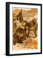 Baboon Family-F.W. Kuhnert-Framed Art Print