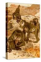 Baboon Family-F.W. Kuhnert-Stretched Canvas