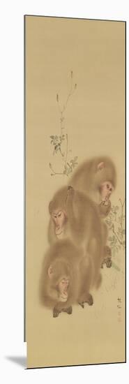 Baboon Family-null-Mounted Giclee Print