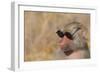 Baboon in Sunglasses-DLILLC-Framed Photographic Print