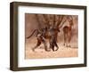 Baboon mother, 2019,-Eric Meyer-Framed Photographic Print