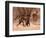 Baboon mother, 2019,-Eric Meyer-Framed Photographic Print