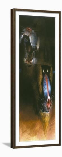 Baboon Scream-Durwood Coffey-Framed Giclee Print