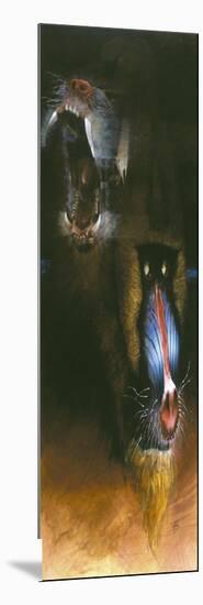 Baboon Scream-Durwood Coffey-Mounted Giclee Print