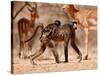 Baboons and Impala, 2019,-Eric Meyer-Stretched Canvas