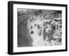 Baboons at the Zoo-null-Framed Photographic Print