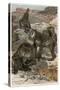 Baboons by Alfred Edmund Brehm-Stefano Bianchetti-Stretched Canvas