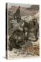 Baboons by Alfred Edmund Brehm-Stefano Bianchetti-Stretched Canvas