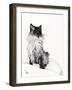 Baby, 2008-Vincent Alexander Booth-Framed Premium Giclee Print