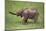 Baby African Elephant in Grass-DLILLC-Mounted Photographic Print