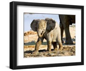 Baby African Elephant in Mud, Namibia-Joe Restuccia III-Framed Photographic Print