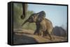 Baby African Elephant (Loxodonta Africana), Climbing Up A Riverbank, Chobe National Park, Botswana-Wim van den Heever-Framed Stretched Canvas