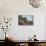 Baby African Elephant (Loxodonta Africana), Climbing Up A Riverbank, Chobe National Park, Botswana-Wim van den Heever-Mounted Photographic Print displayed on a wall