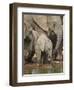 Baby African Elephant (Loxodonta Africana) Drinking-James Hager-Framed Premium Photographic Print