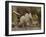 Baby African Elephant (Loxodonta Africana), Serengeti National Park, Tanzania, East Africa, Africa-James Hager-Framed Premium Photographic Print