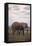 Baby and Mother Elephants-DLILLC-Framed Stretched Canvas