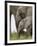 Baby and Young African Elephant, Addo Elephant National Park-James Hager-Framed Photographic Print