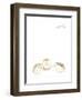 Baby Animals IV-June Erica Vess-Framed Art Print