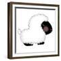 Baby Animals - Turtle-Sheree Boyd-Framed Giclee Print