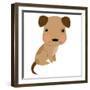 Baby Animals - Turtle-Sheree Boyd-Framed Giclee Print
