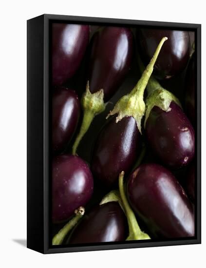 Baby Aubergines-Danya Weiner-Framed Stretched Canvas