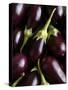 Baby Aubergines-Danya Weiner-Stretched Canvas