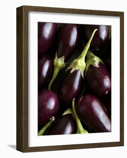 Baby Aubergines-Danya Weiner-Framed Photographic Print