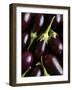 Baby Aubergines-Danya Weiner-Framed Photographic Print