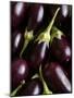 Baby Aubergines-Danya Weiner-Mounted Photographic Print