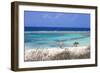 Baby Beach, San Nicolas, Aruba, Lesser Antilles, Netherlands Antilles, Caribbean, Central America-Jane Sweeney-Framed Photographic Print