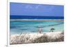 Baby Beach, San Nicolas, Aruba, Lesser Antilles, Netherlands Antilles, Caribbean, Central America-Jane Sweeney-Framed Premium Photographic Print