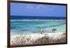 Baby Beach, San Nicolas, Aruba, Lesser Antilles, Netherlands Antilles, Caribbean, Central America-Jane Sweeney-Framed Premium Photographic Print