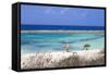 Baby Beach, San Nicolas, Aruba, Lesser Antilles, Netherlands Antilles, Caribbean, Central America-Jane Sweeney-Framed Stretched Canvas