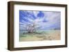 Baby Beach-Kjersti-Framed Photographic Print