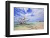 Baby Beach-Kjersti-Framed Photographic Print