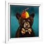 Baby Bear-Lucia Heffernan-Framed Art Print