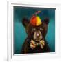 Baby Bear-Lucia Heffernan-Framed Art Print