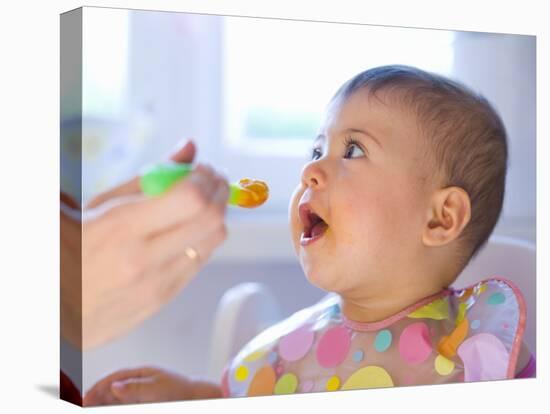 Baby Being Fed Baby Food-null-Stretched Canvas