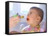 Baby Being Fed Baby Food-null-Framed Stretched Canvas