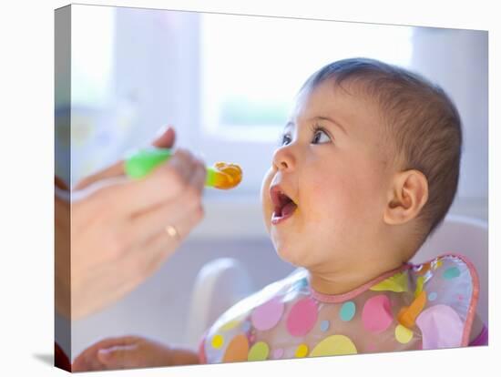 Baby Being Fed Baby Food-null-Stretched Canvas