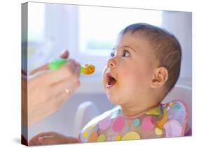 Baby Being Fed Baby Food-null-Stretched Canvas