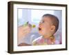 Baby Being Fed Baby Food-null-Framed Photographic Print